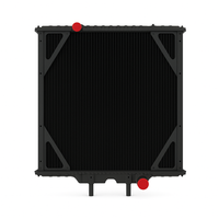 Extra High Effiency Radiador for Peterbilt 379 (1991-2007) No Tank Dimpled Tube | Dura-Lite
